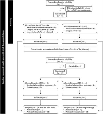 Relieving Chronic Musculoskeletal Pain in Older Adults Using Transcranial Direct Current Stimulation: Effects on Pain Intensity, Quality, and Pain-Related Outcomes